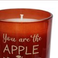 thumbnail image 3 of 5.5oz Apple & Cinnamon Stick Scented Jar Candle, 3 of 4