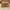 C, variant on Nywaba Thick Absorbent Bath Mat Rug Non Slip, Funny Doormat Indoor Outdoor Home Front Porch Rugs Bedroom Entrance Patio Decoration Supplies