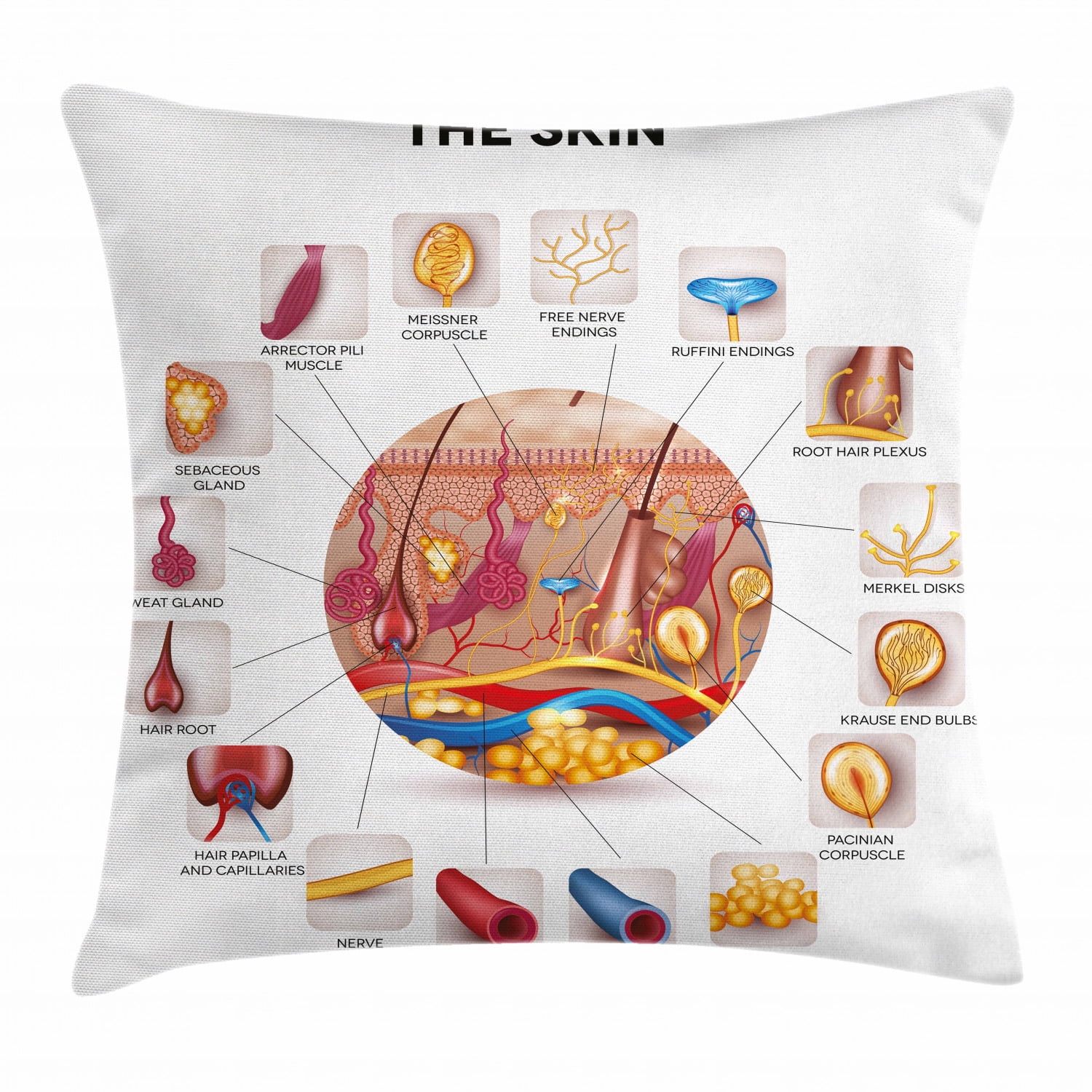 Educational Throw Pillow Cushion Cover, Skin Anatomy Elements in Round
