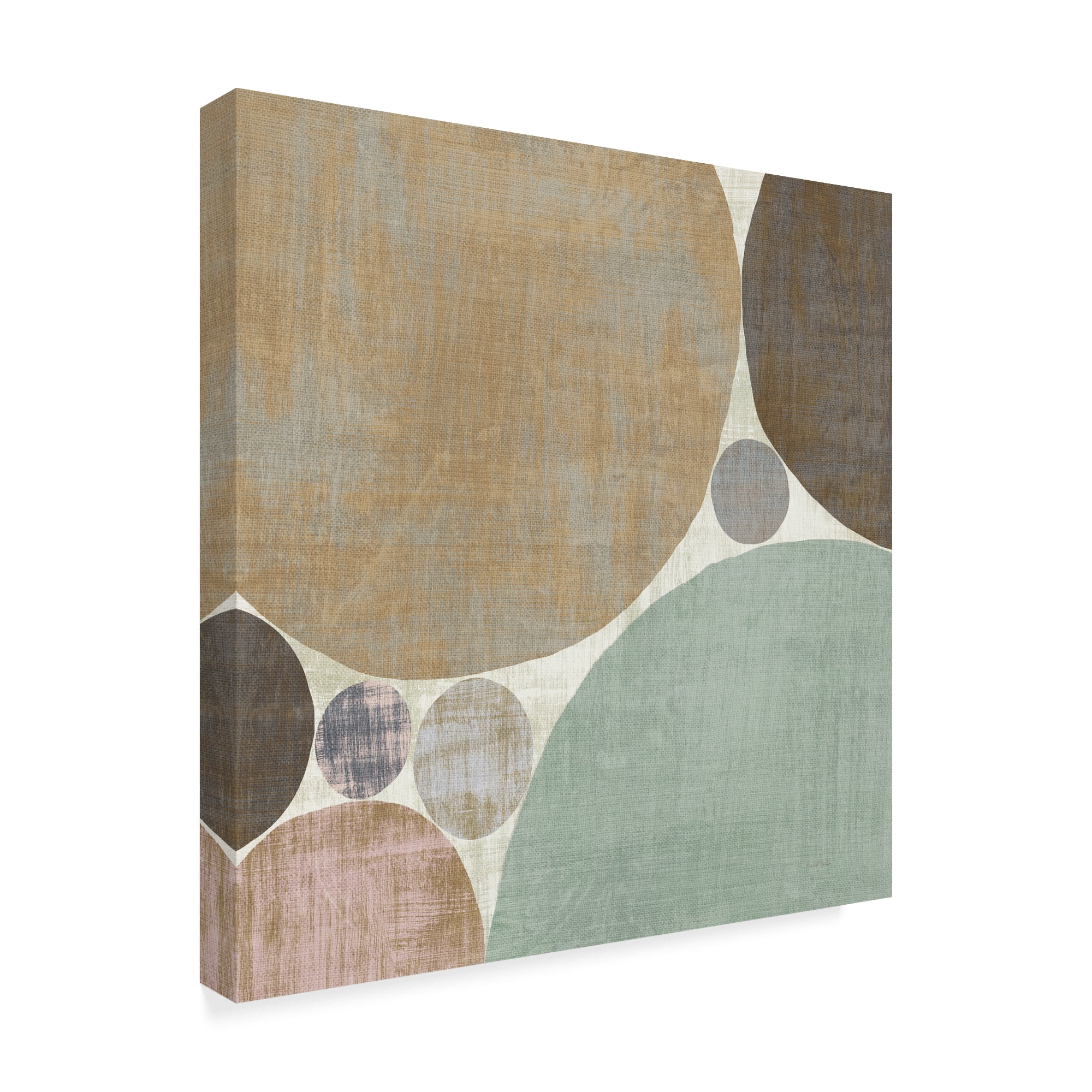 Trademark Fine Art 'Circulation I v2 Hygge' Canvas Art by Michael Mullan