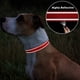 thumbnail image 5 of Collar de perro TagMe de nailon reflectante ajustable para perros medianos, 5 of 7