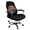 150th Anniversary Liberty Flag, variant on POLERO Bald Eagle American Flag All-in-One Office Computer Chair Seat Covers, Anti Corrosion Brushed Elastic Fabric Computer Office Chair Cover for Work Nook