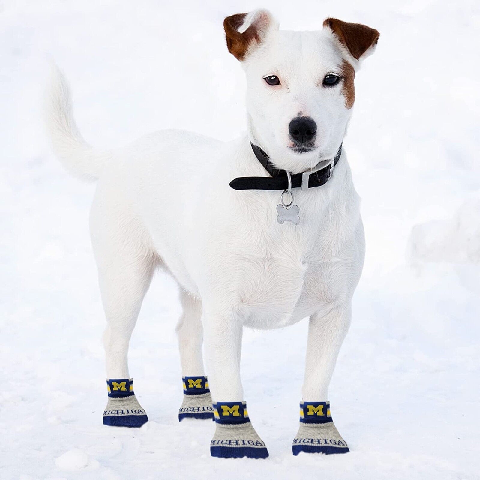 NCAA Anti Slip Dog Socks with Elastic Ribbed Top Indoor/Outdoor Paw Protection