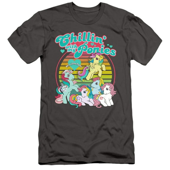 My Little Pony Retro Chillin With My Ponies S/S Adult 30/1 T-Shirt Charcoal
