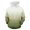 Green, variant on Xihbxyly Mens Pullover Hoodies Mens Hoodies and Sweatshirts Thick Fleece Custom Graphic Printed Hooded Shirt Sweat Hoodie Shirts Big and Tall Hoodie Sweatshirt