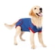 thumbnail image 4 of Traje de recuperación Salvador Ropa Cirugía postoperatorio para perros L L, 4 of 9