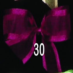 Orchid Purple Solid Edged Craft Ribbon 0.5" x 30 yards
