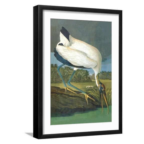 Art.com Wood Stork Art Print by John James Audubon, Black Frame Wall Art, 17" x 23"