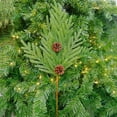 thumbnail image 2 of Holiday Time Pique Norfolk, 2 of 4
