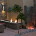 thumbnail image 3 of Northlight Lighted Artificial Tropical Palm Tree Duo - 6' - Clear Lights, 3 of 5