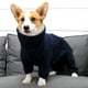 thumbnail image 3 of Abrigo de invierno cálido para mascotas pequeñas y medianas, forrado con vellón, chaqueta polar resistente al viento para perros, 3 of 5