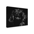 thumbnail image 2 of Trademark Fine Art 'Canine Scratchboard XV' Canvas Art by Julie T. Chapman, 2 of 4