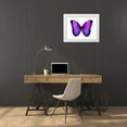 thumbnail image 3 of Bosco, Julia 24x19 White Modern Wood Framed Museum Art Print Titled - Vibrant Butterfly IV, 3 of 4