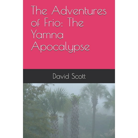 The Adventures of Frio (Paperback)