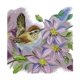 thumbnail image 4 of Y Pájaros - Kits de Estampados Manualidades de Bricolaje para Principiantes , Multicolor, 44x44cm 11CT Macarena Kits estampados de punto de cruz, 4 of 8