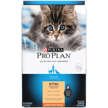 Purina Pro Plan FOCUS Chicken & Rice Formula Dry Kitten Food - 16 lb. (Best Cat Food For Kittens With Sensitive Stomachs)