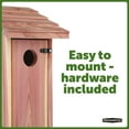Pennington Red Cedar Bluebird Wild Bird House, 2 Pack 13'' Tail
