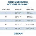 thumbnail image 3 of Gildan Adult Men's Premium Cotton Briefs, 12-Pack, Sizes S-2XL, 3 of 5