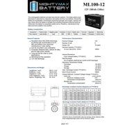 12V 100Ah SLA Replacement Battery for VMAX SLR10