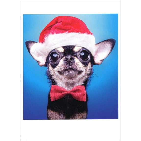 Northern Exposure Black Dog with Red Bow Tie and Santa Hat Cute Box of 12 Christmas Cards