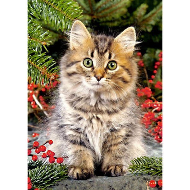 Cuadros Decorativos Kits de imágenes de cuentas de arte de bordado de punto de cruz de gato lindo pinturas de diamantes DIY JShteea Nuevos Originales