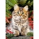 thumbnail image 1 of Cuadros Decorativos Kits de imágenes de cuentas de arte de bordado de punto de cruz de gato lindo pinturas de diamantes DIY JShteea Nuevos Originales, 1 of 9