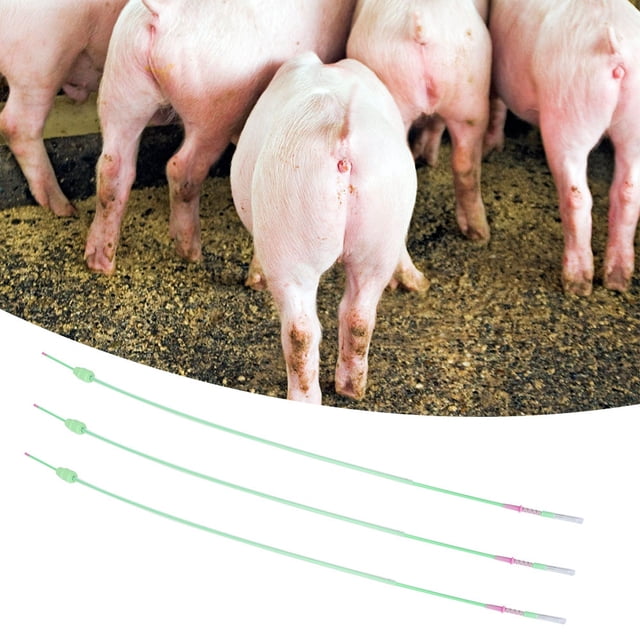 Tubos de inseminación artificial, 5 unids/set, catéter de inseminación de cerdos desechable para animales, tubo de inseminación impulsado por el rendimiento