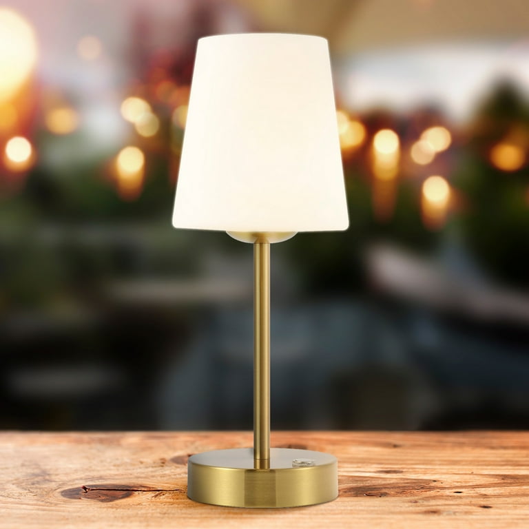 Carson 12.75 Modern Minimalist Iron Rechargeable Integrated LED Table Lamp,  Brass Gold/White 