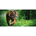 thumbnail image 4 of Tiger Piggy Bank, Siberian Large Feline at Zoo Wildlife at Captivity Unnatural Habitat Agressive Animal, Ceramic Coin Bank Money Box for Cash Saving, 3.6" X 3.2", Multicolor, by Ambesonne, 4 of 4