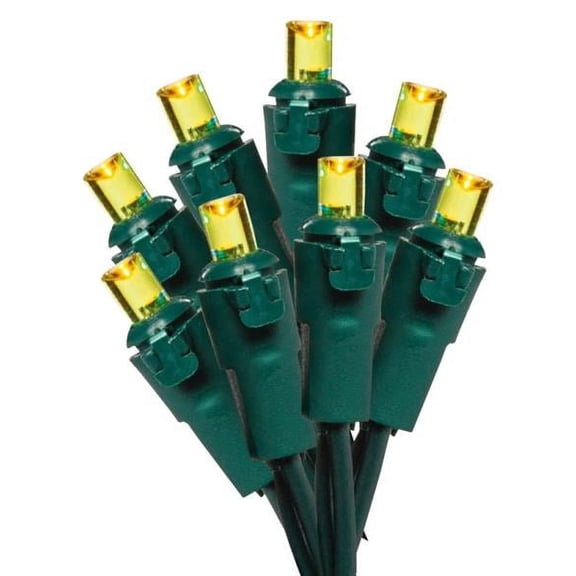 Hometown Holidays Led Light Set, 70