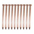 thumbnail image 4 of Paquete de 10 clavos de cobre multifuncionales, fáciles de instalar, puntas de pizarra confiables, acabado de techo para paisajismo, árboles, 100mm, 4 of 8