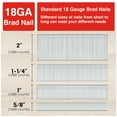SHALL 18 Gauge Brad Nails, 2‚Äù, 11/4‚Äù, 1‚Äù, 5/8 inch, 4000Count