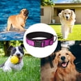 thumbnail image 5 of Collier pour Chien en nylon Réfléchissant avec Rembourrage en Néoprène Respirant, Ajustable, 5 of 5
