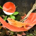 thumbnail image 6 of Bearded Dragon Hammock Lizard Hammock with Suction Cups Hooks Bearded Dragon Tank Accessories Reptile Lounger for Geckos Orange 1 Set, 6 of 7