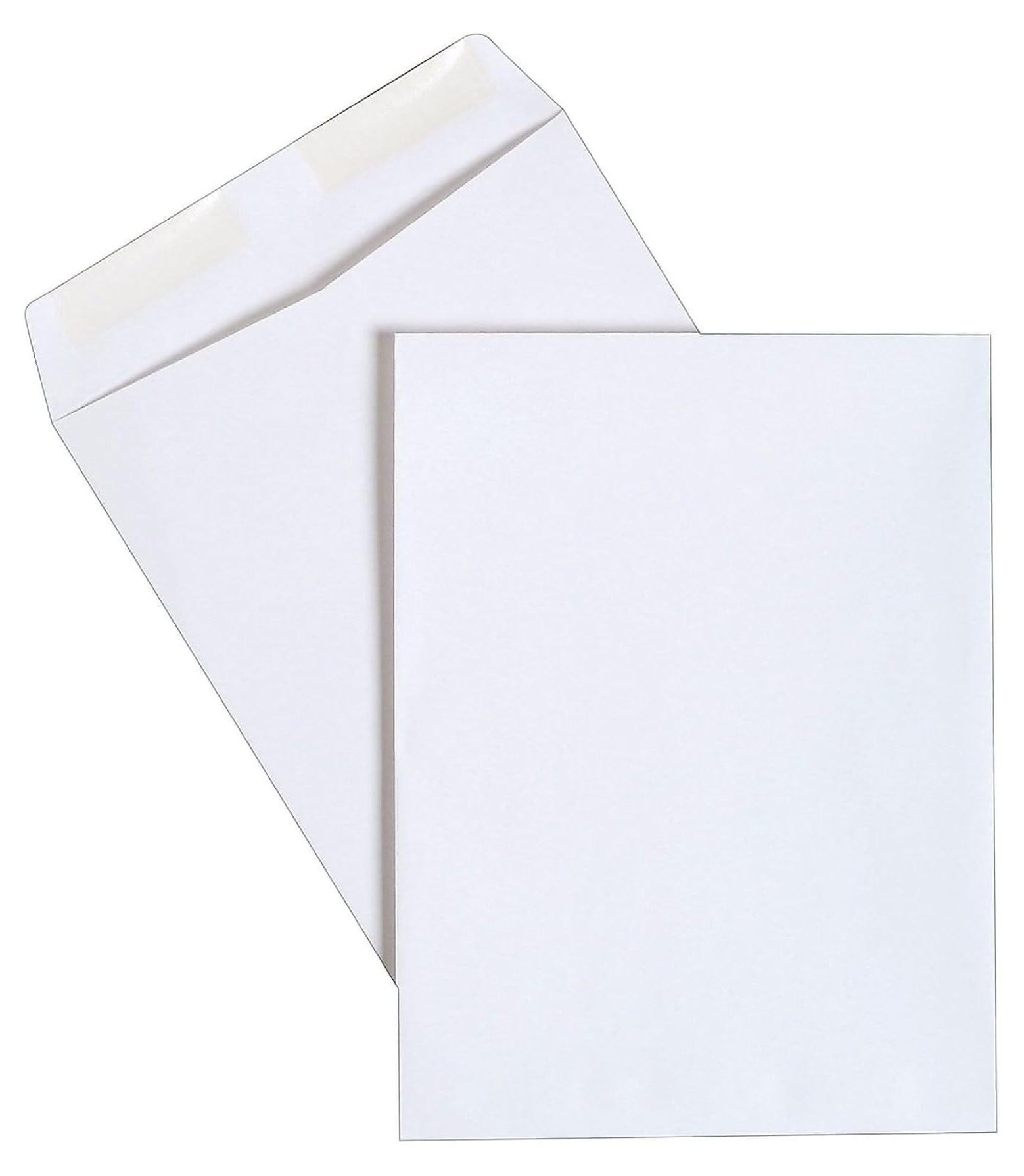 486949 Gummed Catalog Envelopes 9-Inch L X 12-Inch H White 250/Box (486949R)