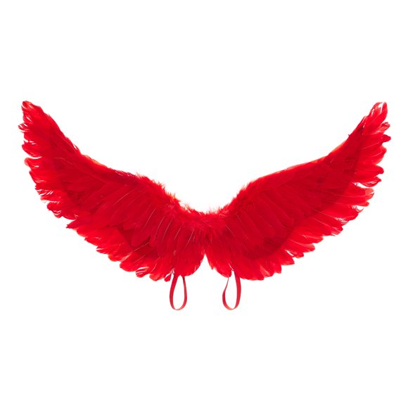 Gupgi Adult Angel Wings, Halloween Cosplay Feather Wings Deluxe Feather Wings with Elastic Straps
