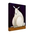 thumbnail image 3 of Trademark Fine Art Daniel Patrick Kessler Bunny Canvas Wall Art - 18x24, 3 of 5