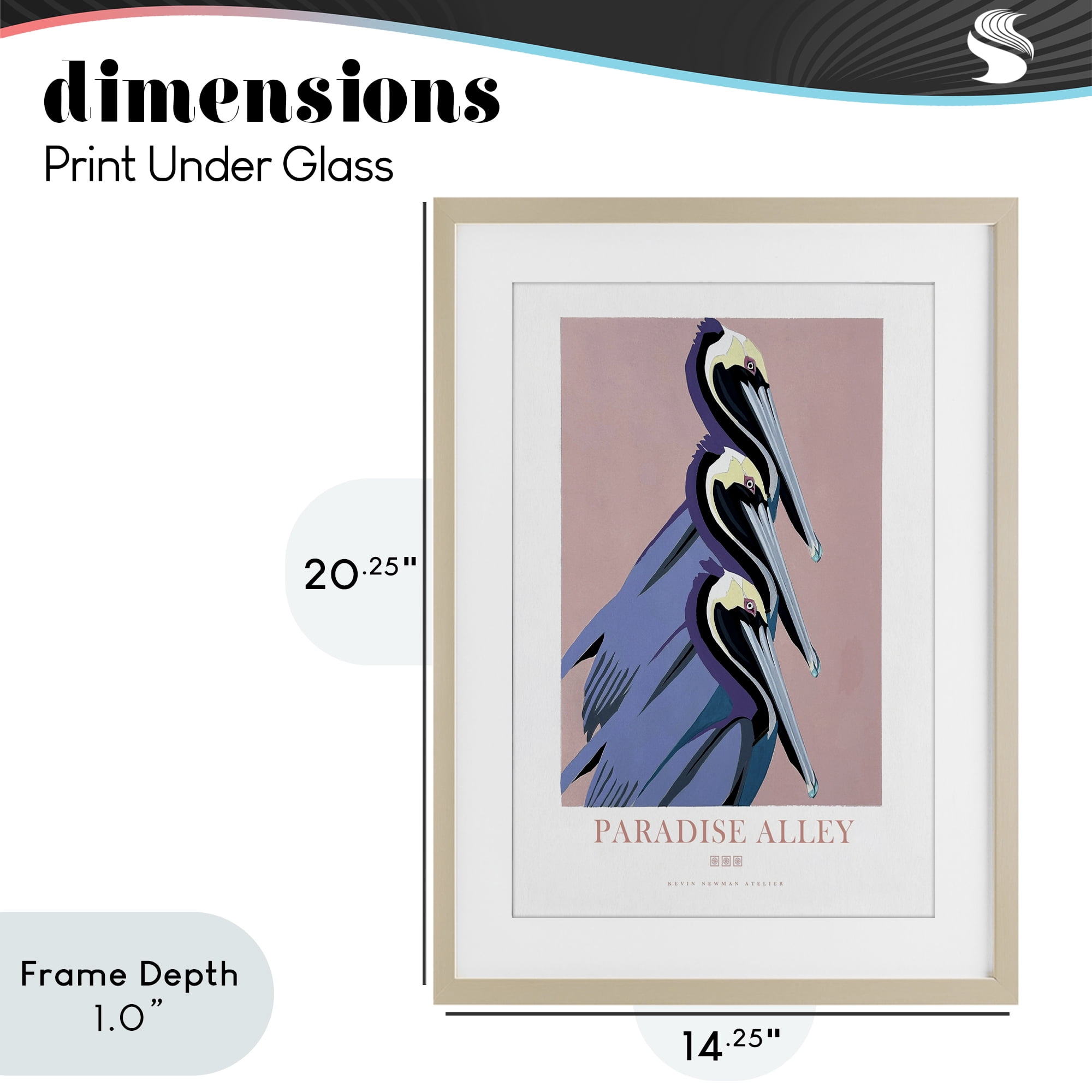 Stupell Industries Paradise Alley Pelican Trio Birch Framed Print Under Glass, design by Jadei Graphics