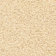 thumbnail image 5 of SAFAVIEH Clyde Solid Plush Polyester Shag Area Rug, Cream, 3' x 5', 5 of 6