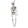 thumbnail image 2 of Durable Terrifying Stability Skull Decoration, Resin Skeleton, For Cemetery Scene Party Decor Halloween House S, 2 of 8