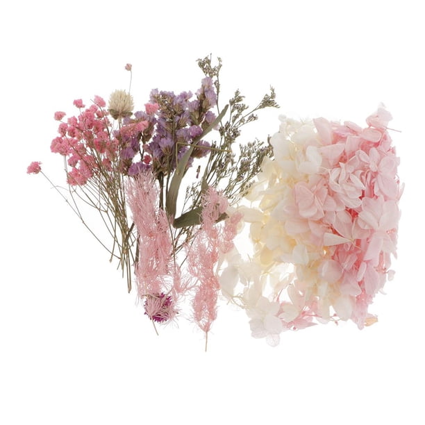 Flor de Hojas Reales Secas Naturales para Velas Aromáticas, Jabón, Tarjetas de Bricolaje, álbum de Recortes - A, 20g UNA Sunnimix flores de hojas secas naturales