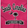 thumbnail image 2 of South Carolina Cute Palmetto Souvenir Plus Size Crewneck Graphic Tee Shirt Brisco Brands 2X, 2 of 3