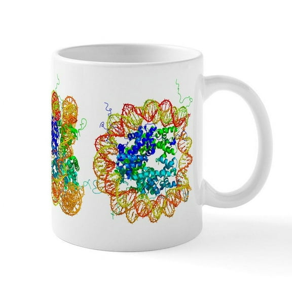 CafePress - DNA Nucleosome, Molecular Model Mug - 11 oz Ceramic Mug - Novelty Coffee Tea Cup