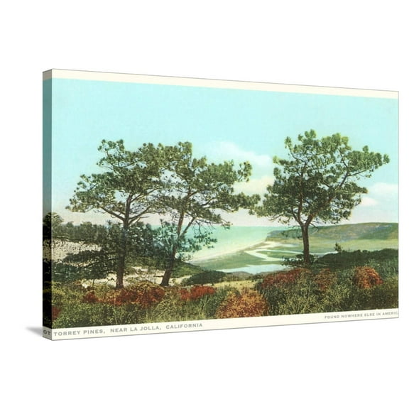 Art.com Torrey Pines, San Diego County, California Stretched Canvas Print Wall Art, 36" x 24"