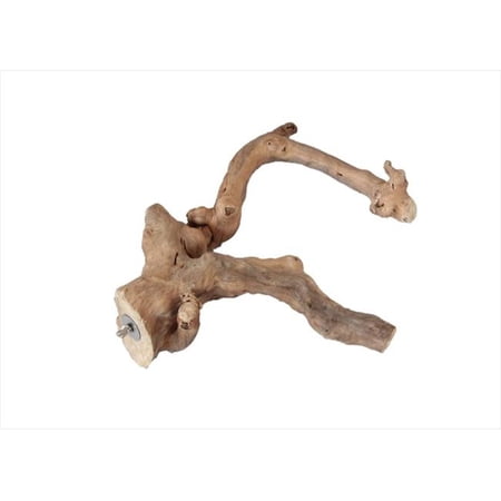 A&E Cage 26 X 2.4 In. Large Multi-Branch