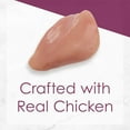 thumbnail image 3 of Purina Fancy Feast Grilled Chicken Feast in Gravy Gourmet Adult Wet Cat Food, 3 OZ Cans, 12 CT (Pack of 2), 3 of 9