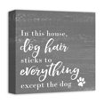 thumbnail image 2 of Creative Products Dog Hair Sticks to Everything 12 x 12 Canvas Wall Art, 2 of 5