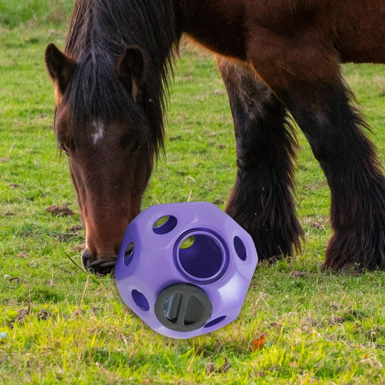Hay Feeder Toy Ball Horse Toys