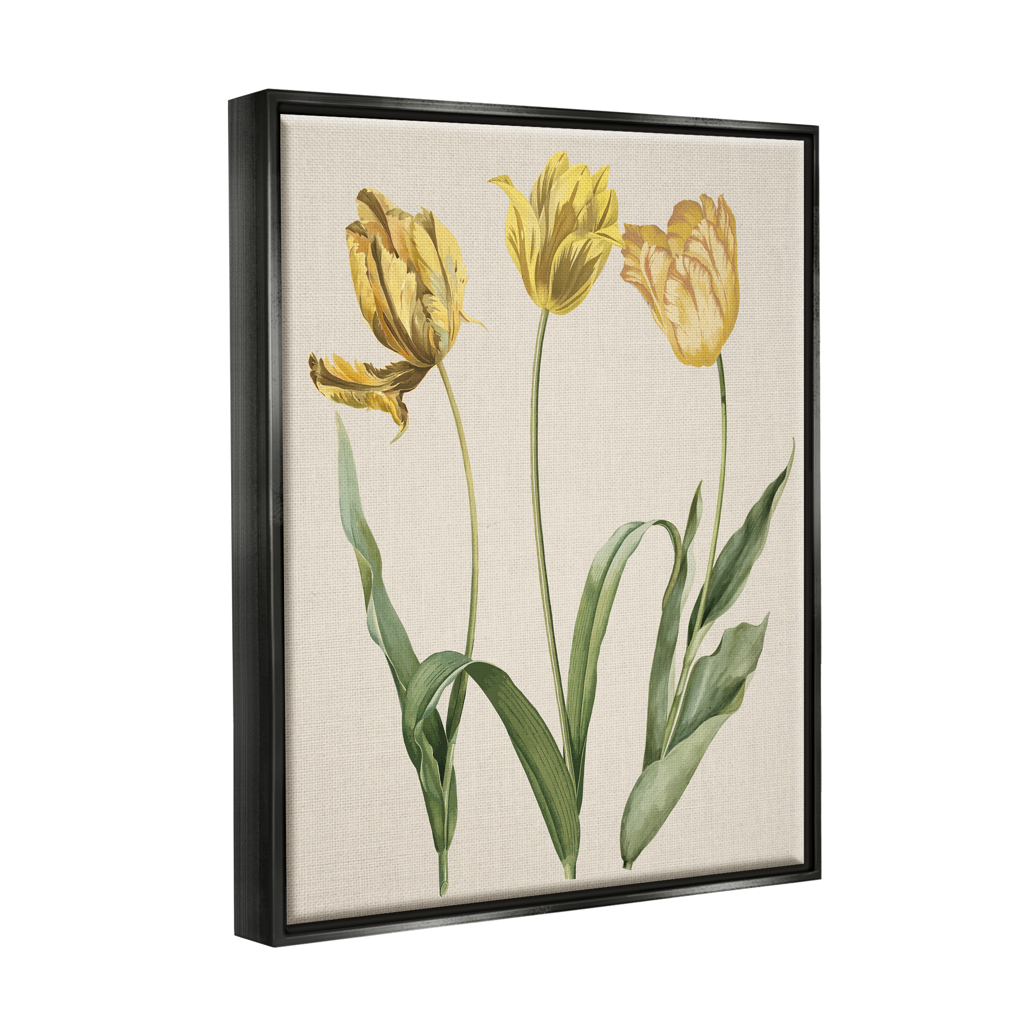 Stupell Industries Three Tulip Sprigs Botanical & Floral Painting Black Floater Framed Canvas Art Print Wall Art, 17 x 21