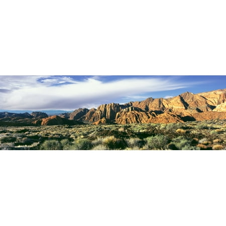 Rock formations in a desert Snow Canyon State Park Washington County Utah USA Stretched Canvas - Panoramic Images (36 x
